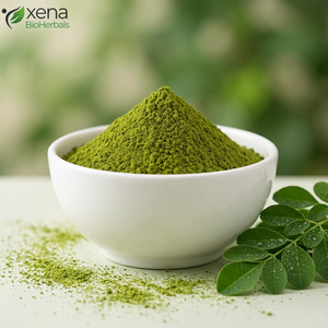 Extrait de Moringa Oleifera Séché, Qualité Fabricant, Poudre d'Extrait de Moringa Naturelle en Gros - Product Image 1