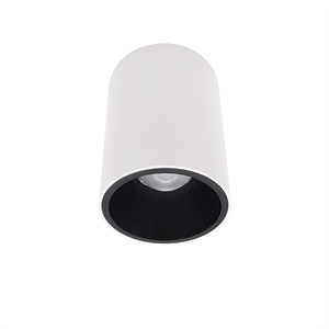 <span class=keywords><strong>Plafond</strong></span> de déflecteur en aluminium commercial AC 220-240V 30000 monté en surface avec IP65 sans gradateur lumières LED Downlights 65 - Product Image 1