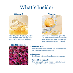 Integratore per la Fertilità degli Animali Domestici a Marchio Privato, Migliora la Motilità dello Sperma, <span class=keywords><strong>Compresse</strong></span> per Gatti e Cani (Senza Cereali) - Product Image 3