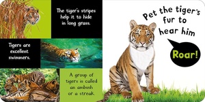 Noisy Animal My First Touch and Feel Livres sonores Noisy Baby Animals Noisy Farm Noisy Animals - Product Image 6