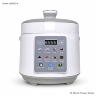 Mini autocuiseur électrique 3L 700W, multicuiseur 10-en-1, cuiseur à induction en acier inoxydable 304, cuiseur à riz compact CE