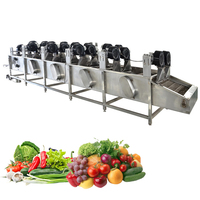 Industriële Datum Palm Fruit Wasmachine Groente Wassen Apparatuur