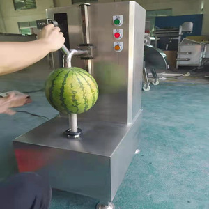 Machine à éplucher les pastèques et les citrouilles multifonctionnelle à double tête, motorisée, haute efficacité, en acier inoxydable 304, pour usage commercial - Product Image 4