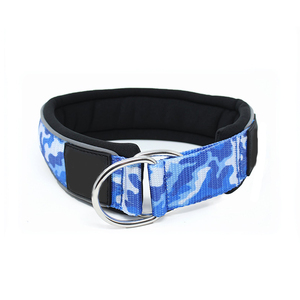 <span class=keywords><strong>Collar</strong></span> de Perro <span class=keywords><strong>Martingale</strong></span> Acolchado de Espuma de Nailon Suave de Lujo Personalizado de <span class=keywords><strong>2</strong></span> Pulgadas con Franjas Reflectantes - Product Image 5