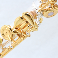 China Factory Professional Transverse Flute Open Hole Design Cupronickel Silver & Gold Plated High Quality Flute