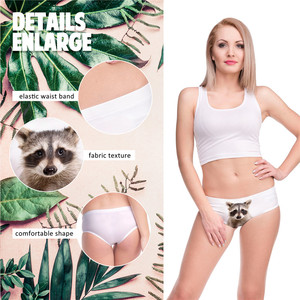 Vendita calda Della Fabbrica personalizzato RACOON stampato delle donne delle mutandine <span class=keywords><strong>super</strong></span> soft senza soluzione di continuità <span class=keywords><strong>sexy</strong></span> delle donne della biancheria intima - Product Image 4