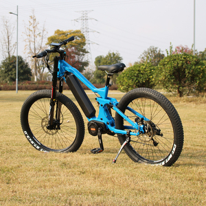 Xe Đạp Leo Núi Điện Leili AM1000 Bafang, Xe Đạp Địa Hình Enduro Ebike Núi Ebike Etb Đình Chỉ Toàn Bộ 1000W - Product Image 1