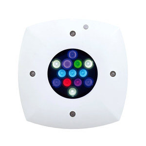 Lampes <span class=keywords><strong>LED</strong></span> écologiques américaines à intelligence artificielle, modernes, rectangulaires, 16HD Hydra 32/64HD Prime pour salon, nouveauté 220V, plastique corail et <span class=keywords><strong>eau</strong></span> <span class=keywords><strong>de</strong></span> <span class=keywords><strong>mer</strong></span> - Product Image 5