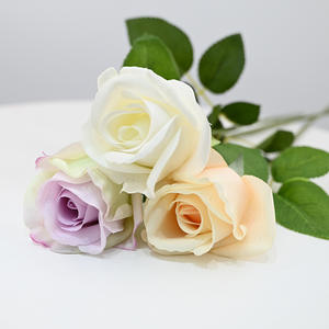 Pétalos de Rosa Kate Hidratantes de Alta Calidad con Textura Suave y Delgada, Tacto Realista y de Alta Fidelidad - Product Image 4