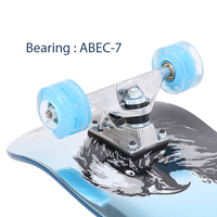 Skateboards fournis par l'usine, prix attractif, design personnalisé, skateboard professionnel en plastique