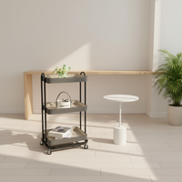 Table basse noire en bois et acier inoxydable, design moderne doré, avec rangement latéral, personnalisable, livraison rapide, pour commandes en gros, décorative