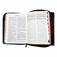 Bible espagnole Reina Valera 1960, produit d'impression sur papier et carton