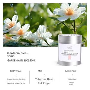 Оптовая продажа автомобильный освежитель воздуха, индивидуальный дизайн, автомобильный освежитель воздуха из алюминиевого сплава, различные запахи - Product Image 6