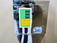 Machine de pesage numérique semi-automatique DL-FZ-999 10-999g pour granulés et poudres (thé, haricots, riz, céréales, aliments) – Remplisseuse en acier inoxydable pour flacons