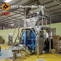 Machine d'emballage automatique de sacs d'aliments pour animaux de compagnie de 1kg 2kg 5kg Machine d'emballage de sachets de biscuits pour aliments pour chiens Machine d'emballage de biscuits pour aliments pour chats