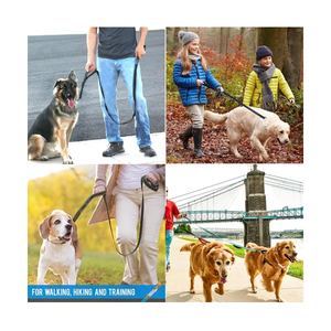Double Handle Reflective <b>Dog</b> <b>Leash</b> OEM ODM Custom Logo Heavy Duty Nylon Pet <b>Leash</b> Direct Manufacturer - Product Image 2