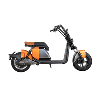 Scooters électriques auto-équilibrants Citycoco pour adulte CE EEC Fat Tire 2000w 3000w