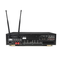 Berase PRO-250 250W * 2 üçü bir arada çift kanal profesyonel güç amplifikatörü 3 in 1