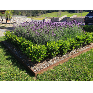 Meilleure vente Bordure de jardin en acier corten Bordure de jardin Bordure de bordure en acier corten - Product Image 4