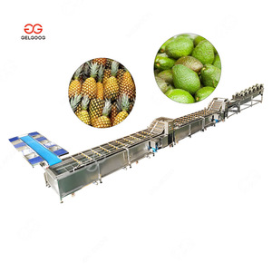 <span class=keywords><strong>Lavadora</strong></span> y Clasificadora de Aguacates de 5 Toneladas/hora de Henan, Máquina de Lavado y Clasificación de Frutas como Piña - Product Image 1