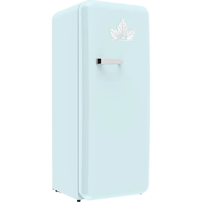 ตู้เย็นยอดนิยมสีฟ้าสีสันศิลปะที่กำหนดเองสีครัวเรือนตู้เย็นก๊าซย้อนยุคสูงพร้อมที่จับตู้เย็น