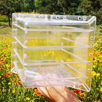Moule de formage et de façonnage en plastique transparent réutilisable pour la croissance des courges et pastèques, 12, 15, 18 cm, vente en gros