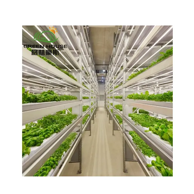 수직 식물 수경 시스템 실내 LED 심기 빛 심기 야채 딸기 홈