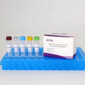 PRRSV-U 핵산 검출 키트 (동결 건조 실시간 형광 PCR) - Product Image 1