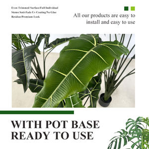 <span class=keywords><strong>Planta</strong></span> Artificial <span class=keywords><strong>de</strong></span> Alocasia Tropical para Interiores/Exteriores, Hoja <span class=keywords><strong>de</strong></span> Alocasia Sarian Tipo <span class=keywords><strong>Oreja</strong></span> <span class=keywords><strong>de</strong></span> <span class=keywords><strong>Elefante</strong></span>, Plástico Similar a Palma/Olivo - Product Image 3