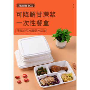 Fresh <b>Box</b> Biodegradable Pulp <b>Lunch</b> <b>Box</b> 4 Compartment With Lid <b>Microwave</b> Safe For Picnic - Product Image 1
