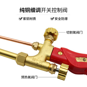 G01-30 Cutting Torch Copper Plated Double Switch For Oxy Acetylene Liquefied Gas Cutting - Product Image 1