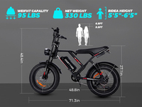 Vélo électrique tout-terrain à pneus larges de 20 pouces, livraison rapide depuis l'entrepôt UE/USA, cadre rétro, batterie amovible, homologué CE/UKCA