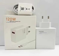 Adaptateur d'alimentation ultra-rapide 120W PD3.0 QC3.0 ignifuge, prise US/EU, chargeur écologique 6A pour téléphone portable, appareil photo et écouteurs