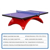 Tables de Tennis de Table Pliables pour l'Extérieur, Conformes aux Normes Nationales, Design Arqué Multi-Spécifications, Vente en Gros pour Fabricants