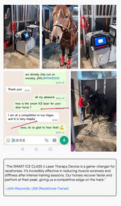 Terapi <span class=keywords><strong>Laser</strong></span> hewan 810nm 980nm 1064nm kelas 4 peralatan terapi <span class=keywords><strong>Laser</strong></span> kuda Hewan Peliharaan Terbaik - Product Image 6