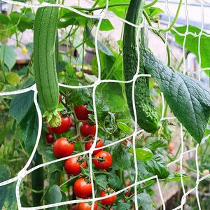 Filet de culture robuste pour jardin, en polyester, maille carrée, pour tomates, concombres, haricots, fruits et plantes grimpantes - Product Image 1