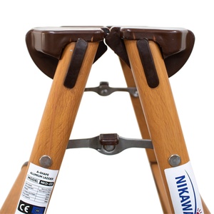 Thiết Kế Hiện Đại 2*3 Hai Mặt Hộ Gia Đình Nhôm Kính Thiên Văn Thang NVLD-03 Dễ Dàng Để Gấp Cổ Phiếu Ngoài Trời Sử Dụng Nhà EN131 Chứng Nhận - Product Image 5