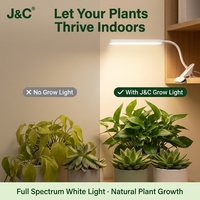 Kit de plantes pour micro-paysage d'intérieur avec lumière de croissance à intensité variable et minuterie pour la décoration de mini-fleurs et de semis de légumes à domicile