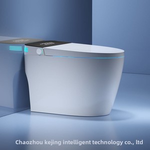 Bestseller del Sud-Est Asiatico: <span class=keywords><strong>WC</strong></span> Intelligente in Acciaio Inox Tutto-in-Uno, Modello Domestico con Telecomando, <span class=keywords><strong>Coperchio</strong></span> Automatico Senza Acqua - Product Image 3