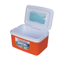 Glacière portable 8L Mini glacière isotherme Boîte à glace pour le camping en plein air Pique-nique Voiture 48H de rétention de la glace Boîte à glace pour aliments