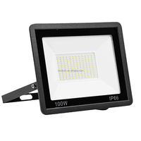 Projecteur LED extérieur étanche IP66 pour jardin, parc, cour, 220 V, 10 W, 20 W, 30 W, 50 W, 100 W, 200 W, 300 W, en ABS, économique