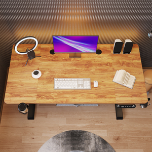 Miễn Phí Vận Chuyển Mỹ Có Thể Điều Chỉnh Điện Đứng Bàn Cho Người Lớn Trẻ Em Tùy Chỉnh Hiện Đại Văn Phòng Máy Tính Trò Chơi Bàn Bảng - Product Image 6