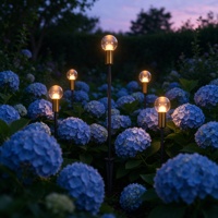 Lampe solaire LED globe à piquet IP65 pour extérieur, jardin, allée, avec abat-jour en verre transparent et base en cuivre