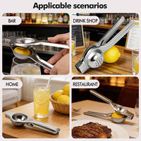 Presse-agrumes manuel en acier inoxydable pour citrons et fruits, presse-citron portable pour cuisine et bar