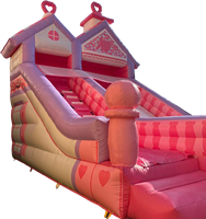 Tente dôme gonflable en PVC de 5 m, thème dessin animé, avec éléments convexes, équipement de divertissement extérieur pour enfants, toboggans colorés en forme d'ammonites