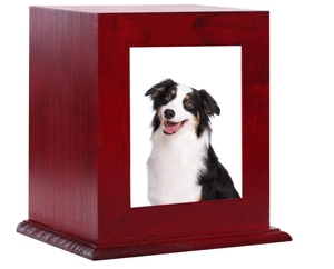 Urne Cinerarie in Legno all'Ingrosso con Portafoto per Animali Domestici Scatola Ceneri per Gatto e Cane Forniture Funebri Commemorative Cofanetto per Conservazione Ceneri Animali - Product Image 1