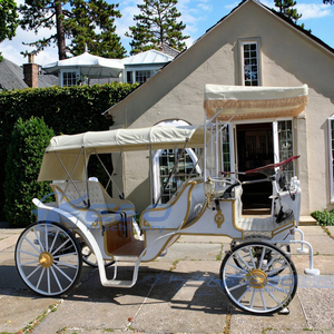 Calèche de tourisme à vendre, idéale pour sentiers forestiers, places de ville, châteaux, lieux de mariage, transport spécial - Product Image 1