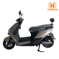 T3 High Speed Adult Electric Scooter Motorcycle 1000W 72V20AH 10inch Tire Alloy Hub Commuter Electric Moped for City Road Travel