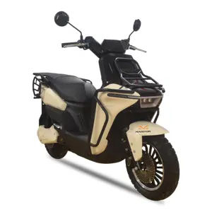 Xindalu çin fabrika Fst 2000w yüksek hızlı Eec elektrikli Scooter lityum pil çıkarılabilir elektrikli motosiklet