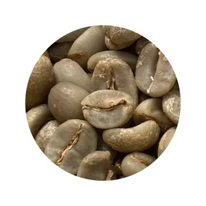 अरेबिका कैटिमोर कम कीमत वाली कॉफी आपूर्तिकर्ता ग्रीन कॉफी बीन ओम सेवा ग्रीन कॉफी वियतनाम निर्माता